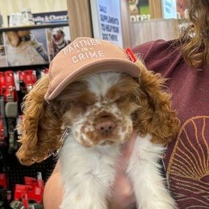 Meet your Posher, Kaybee